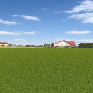 grass field-viewmap-mic